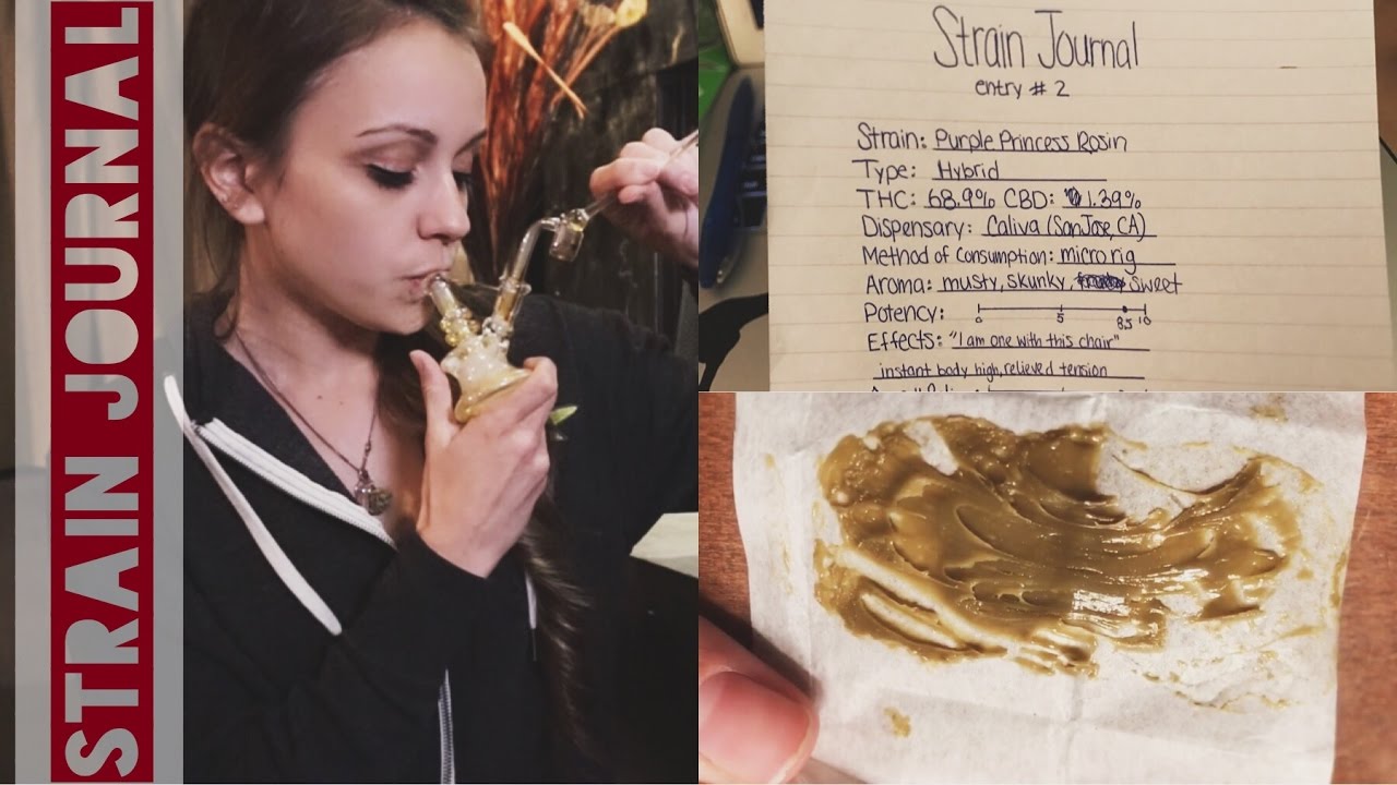 Purple Princess Rosin // Strain Journal Entry #2