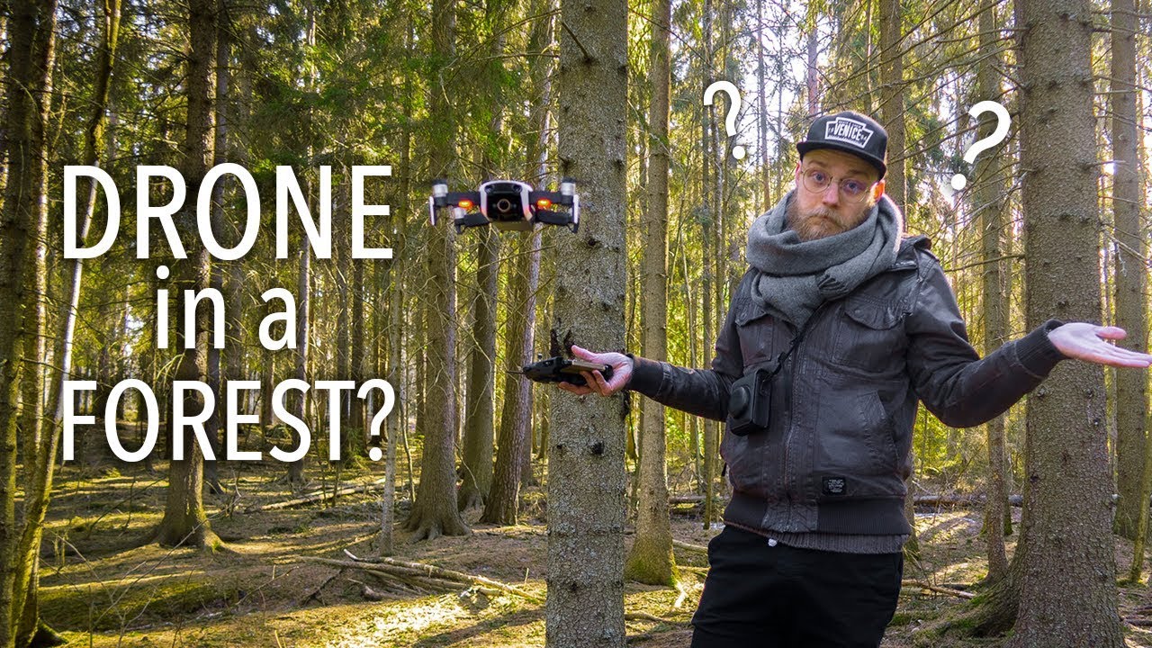 Should You Fly a Drone In Forest?