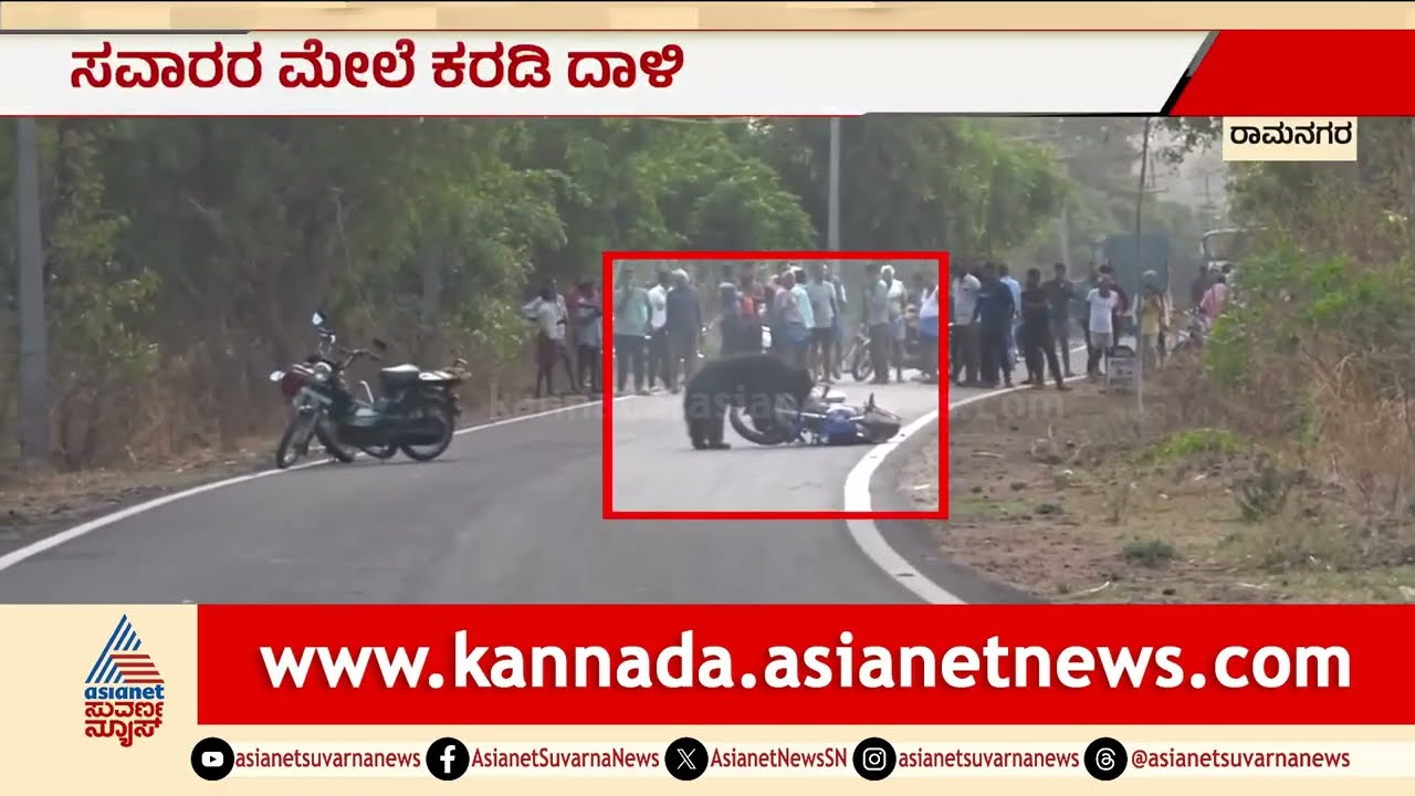 Channapatna: ಬೈಕ್ ಬಿಟ್ಟು ಓಡಿದ ಸವಾರರು; ಸಿಟ್ಟಿಗೆದ್ದ ಕರಡಿಯಿಂದ ವಾಹನವೇ ಪುಡಿಪುಡಿ! | Wild Bear Attack