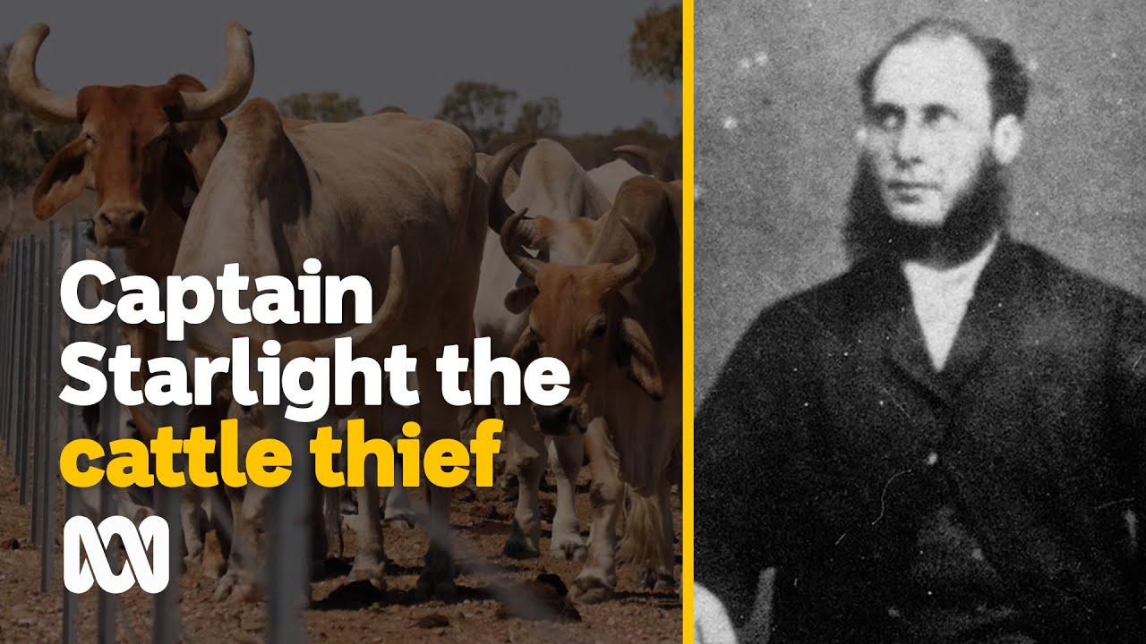 Captain Starlight the biggest cattle thief in the world | Amazing Australia | ABC Australia