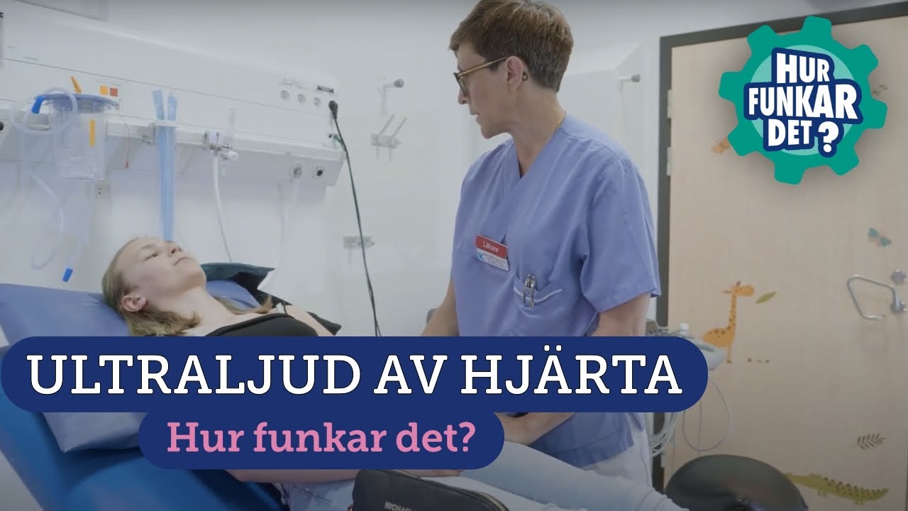 Ultraljud av hj&auml;rtat (ungdom)