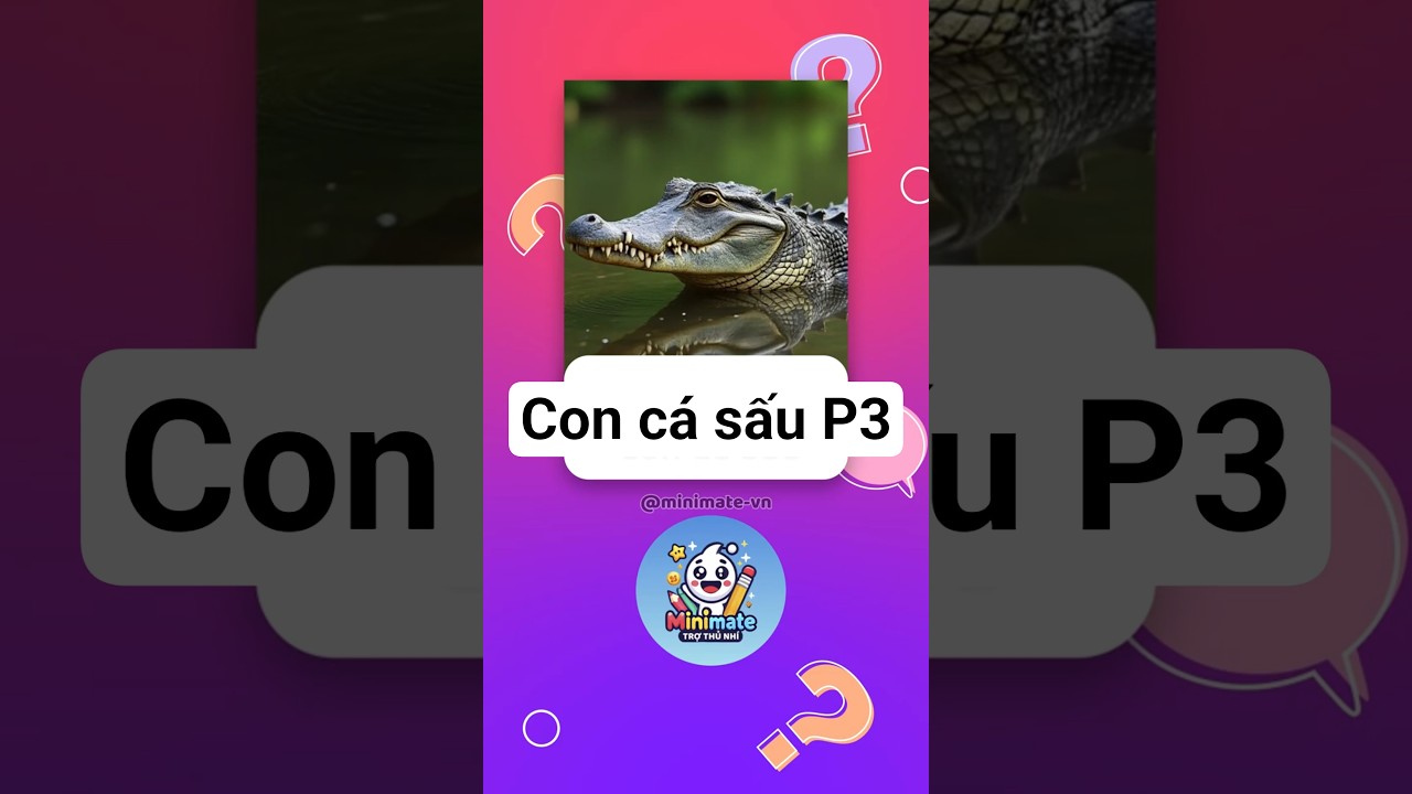 Cá sấu thường làm gì trong nước? (Phần 3) | Pikoro 🦜 – MiniMate 
