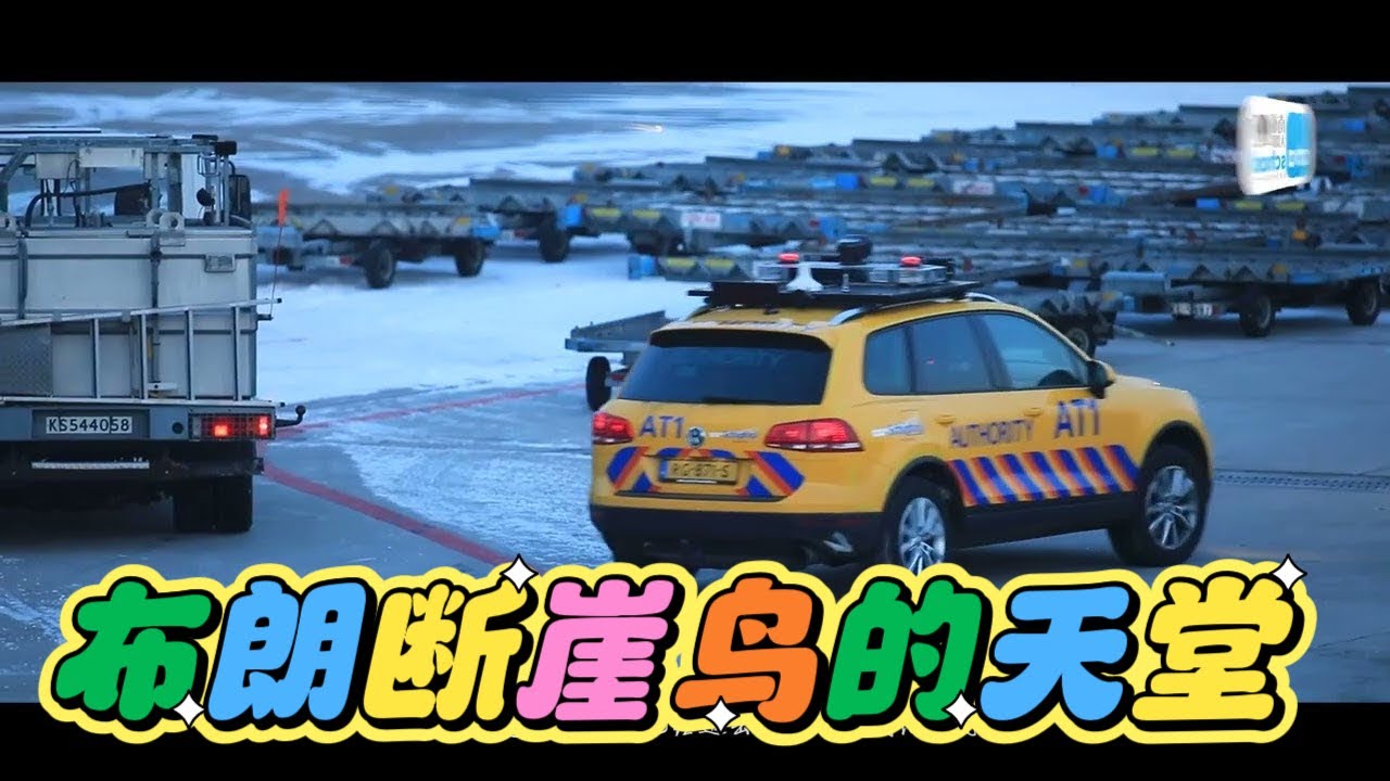 南极大冒险—布朗断崖•鸟的天堂课