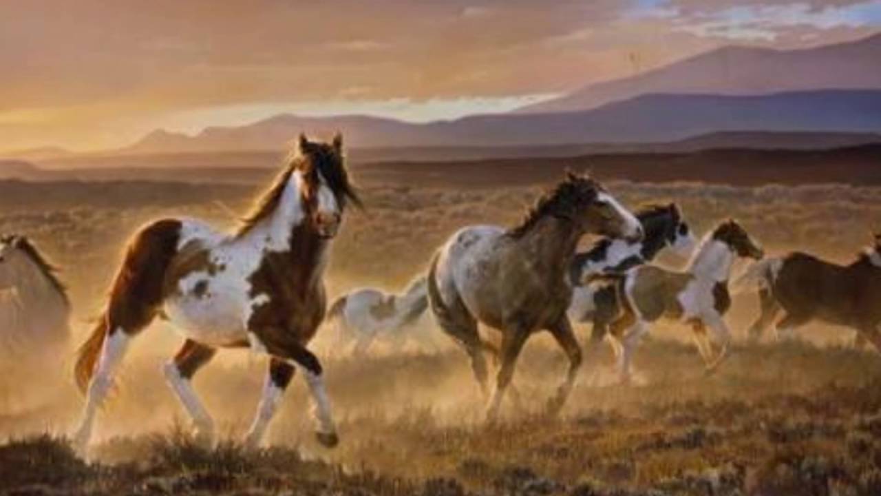 Karl Jenkins  Motets   (5)   And the Mother did weep