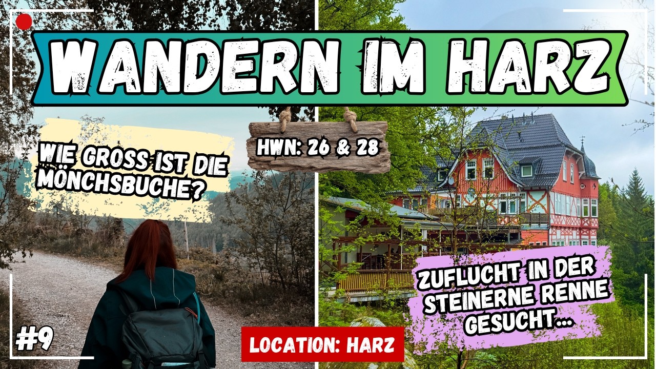 ⛰️ HOCH HINAUS - im Harz: „Spektakuläre Tour zur Steinernen Renne