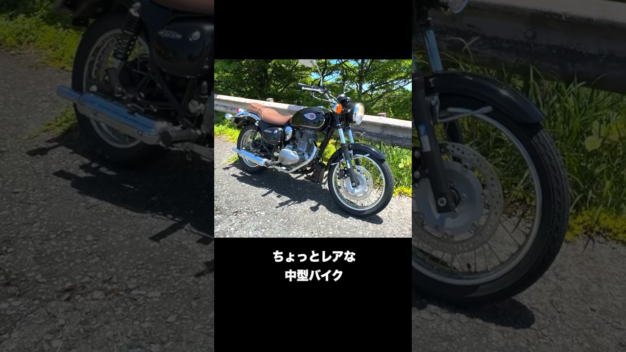 1分で褒めて落とすバイク紹介「W250エストレヤ」#shorts #kawasaki