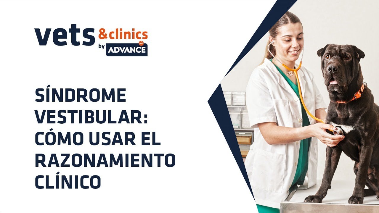 19.ES Síndrome Vestibular: Cómo usar el razonamiento clínico (Dra. Elsa Beltrán)