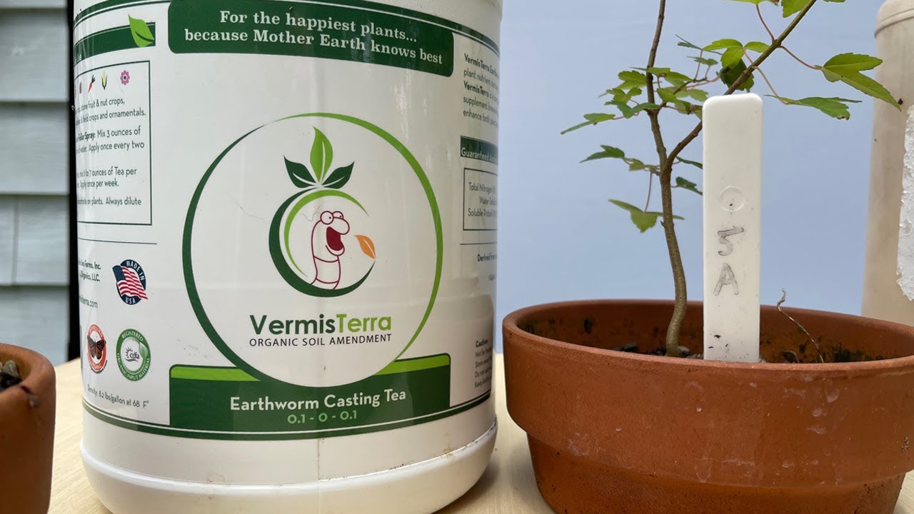 Bonsai Soil Test 3.2: Worm Tea!!
