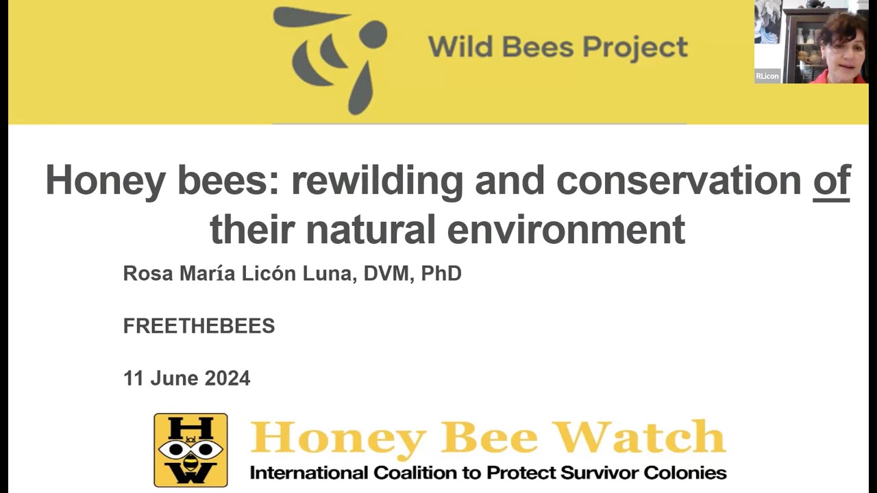 Rosa María LICÓN LUNA: Honey bees rewilding and conservation in their natural environment
