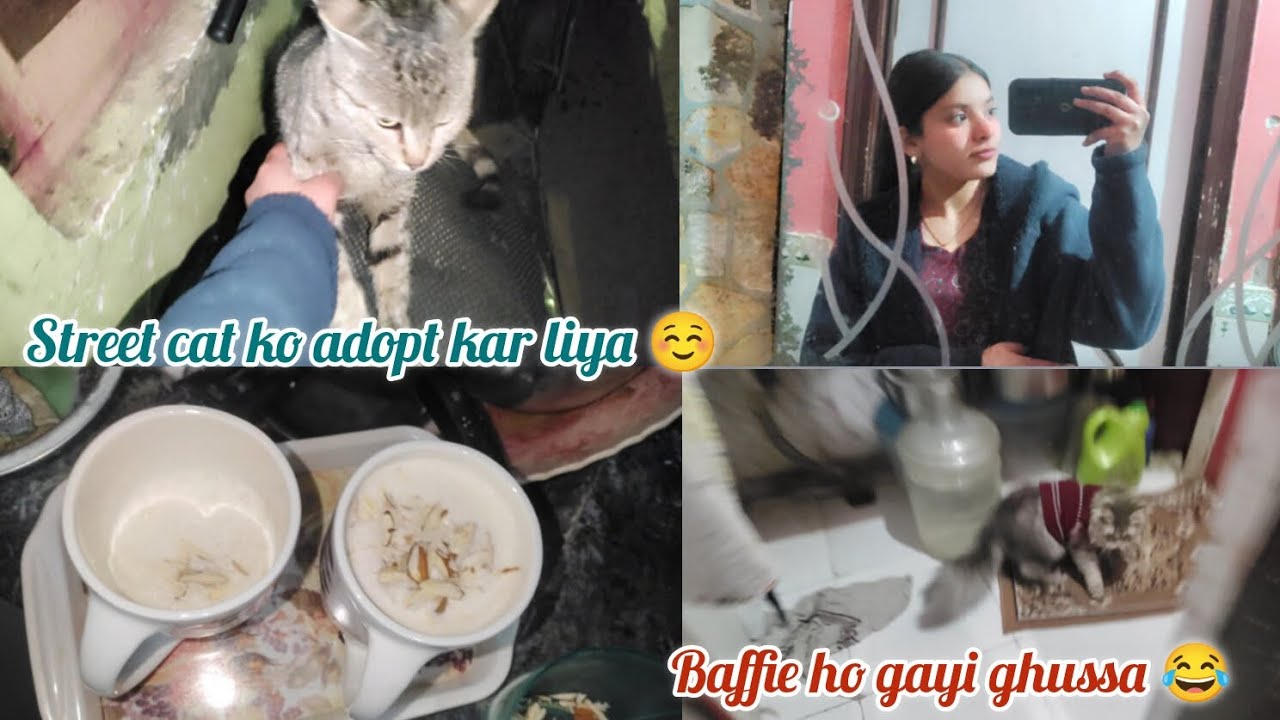 Street cat ko adopt kiya?🙂 || Baffie ki masti huyi shuru 😂|| cold coffee making ☕