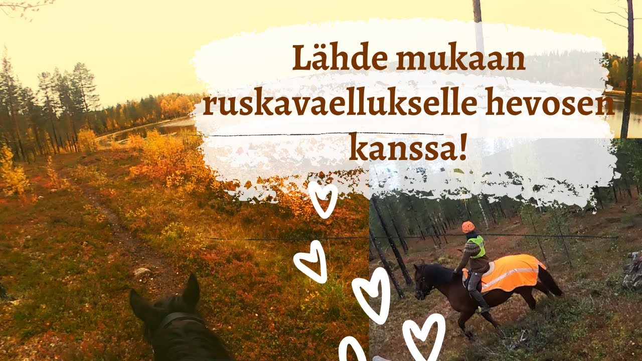RUSKA VAELLUS HEVOSILLA 2021