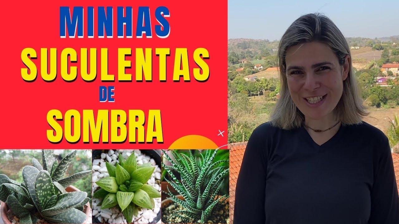 Quais são as SUCULENTAS que podemos ter DENTRO DE CASA?/Grazi Bittencourt