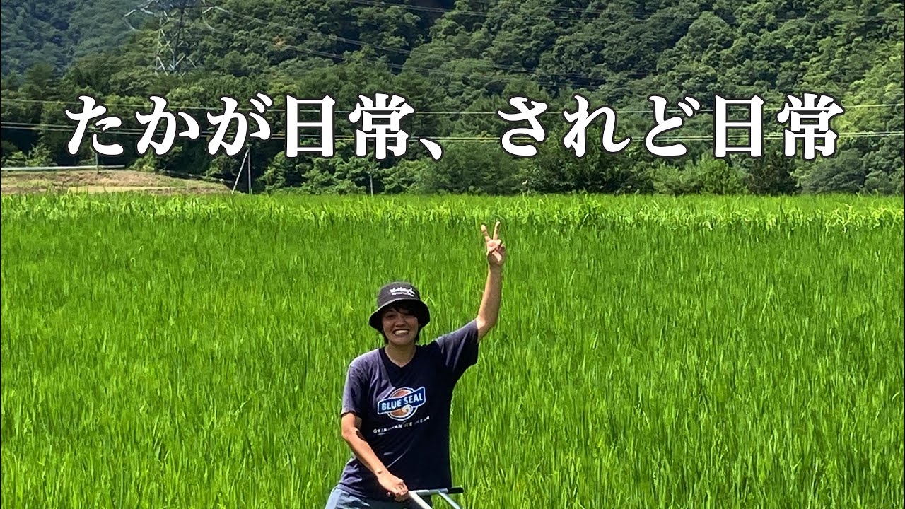 長野移住3ヶ月分の日常詰め合わせ