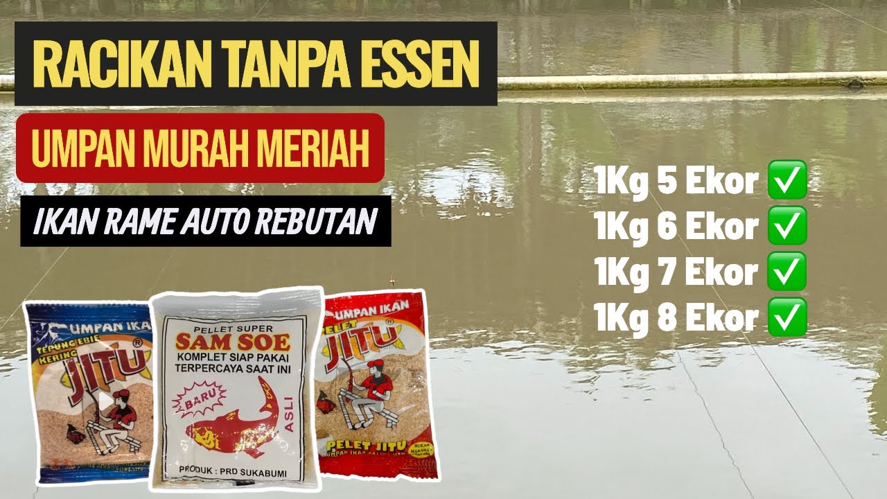 GAK NYANGKA!!! UMPAN DADAKAN INI BISA JADI REBUTAN IKAN MAS DAN MUJAIR?