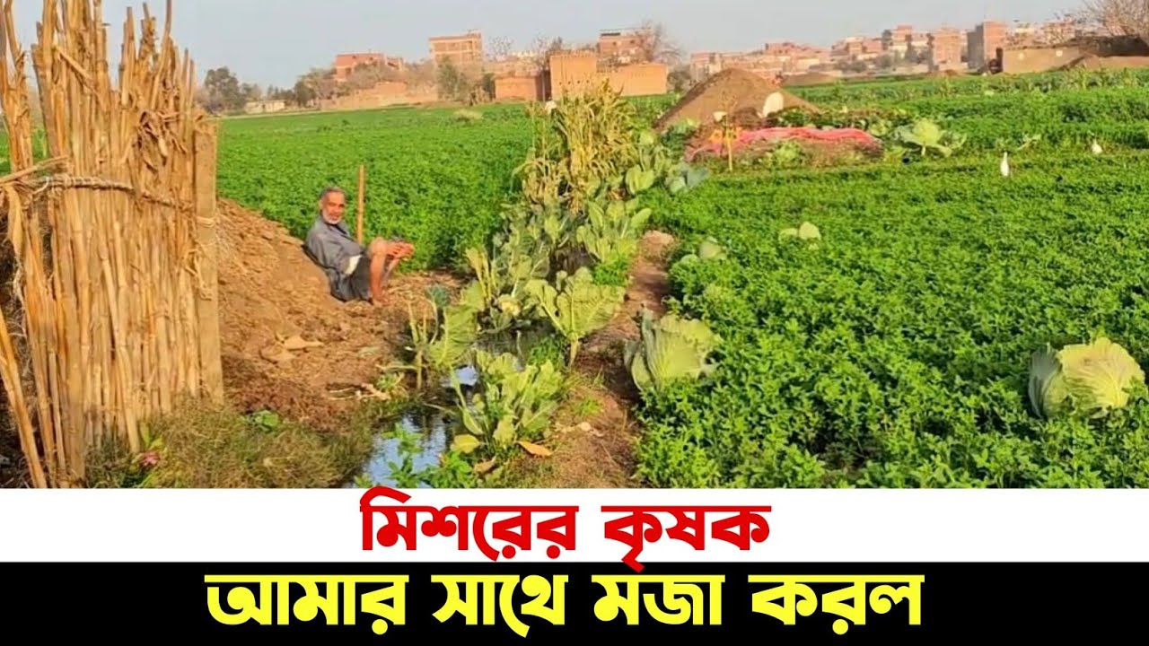 মিশরী কৃষক আমার সঙ্গে মজা করল