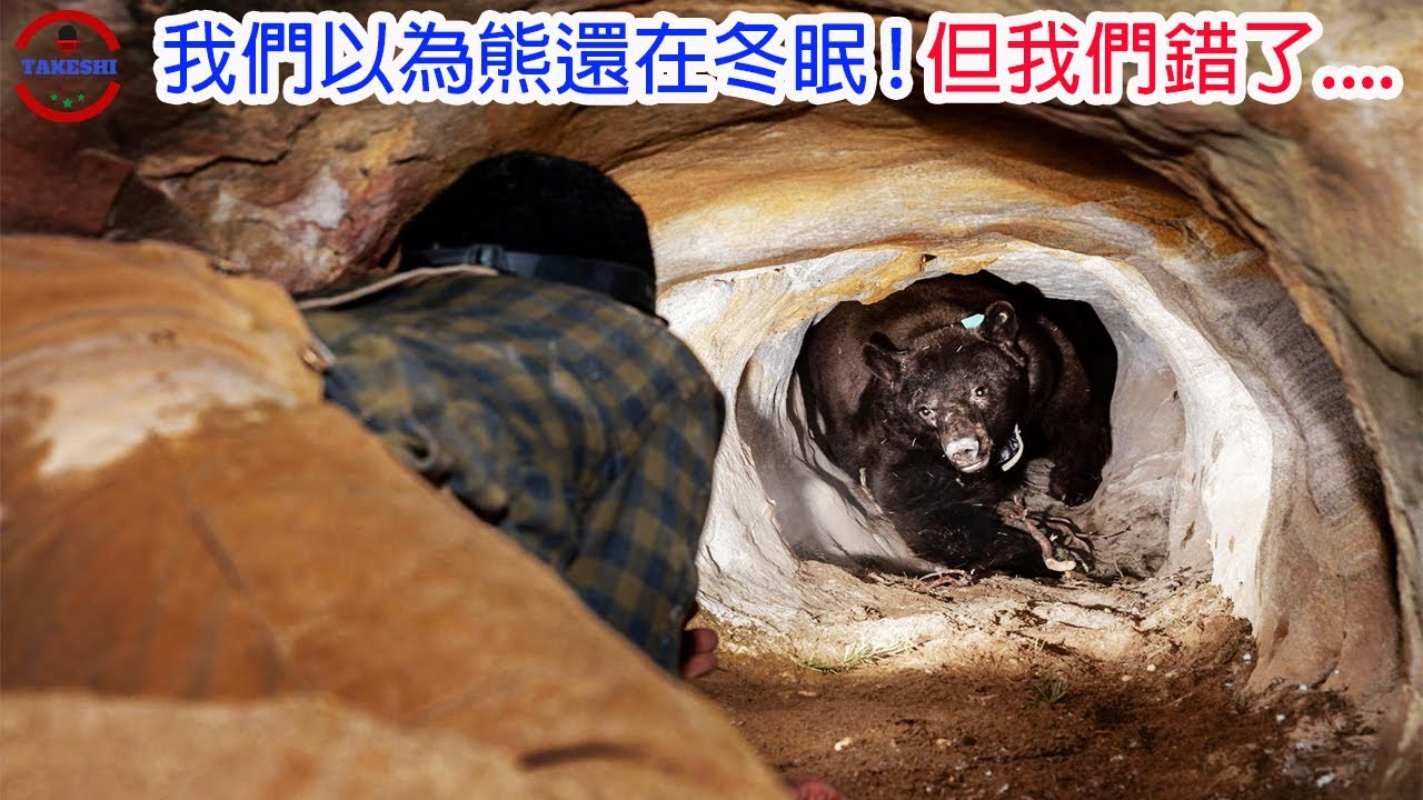 [生物放大鏡] 極危險任務! 尋找冬眠的熊 ! | 義大利棕熊殺人事件 | 日漸嚴重的人熊衝突