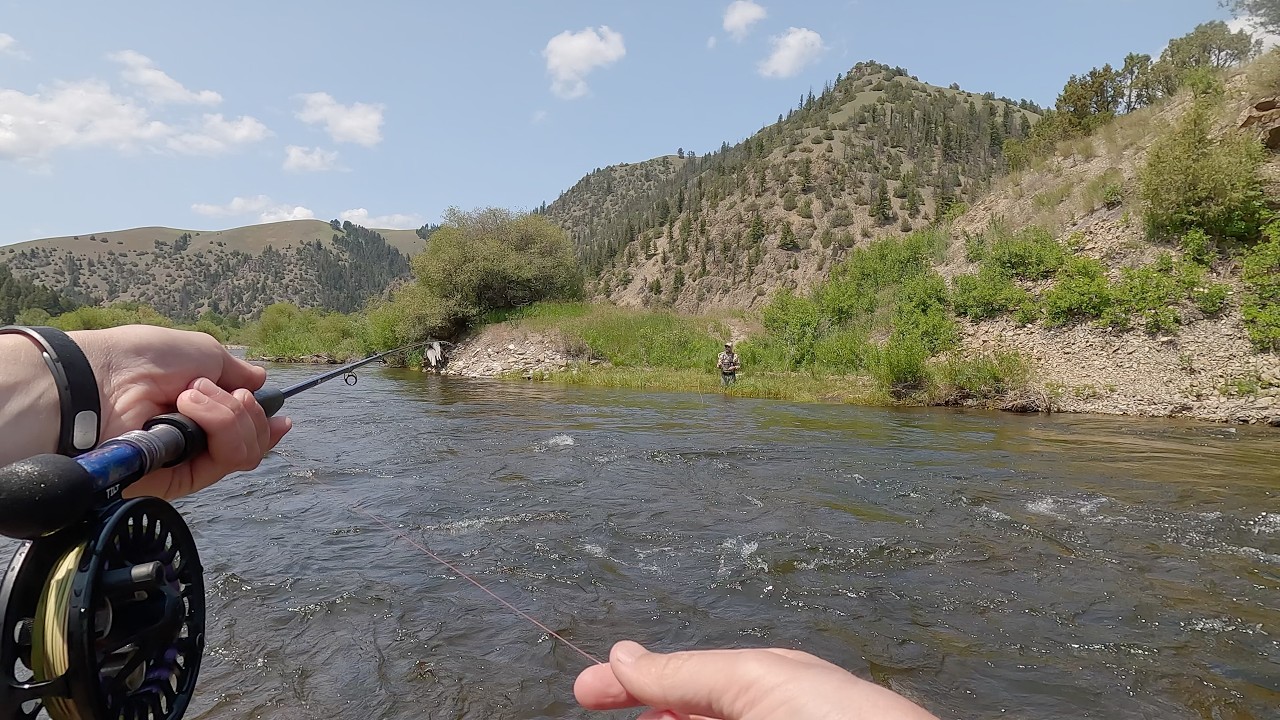 Fly Fishing Montana June 24th, 2025 Day 4
