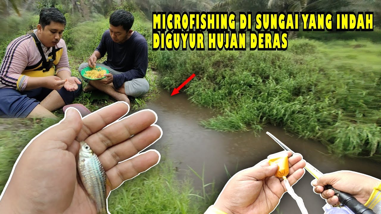 🍃MICROFISHING DI SUNGAI YANG INDAH DIGUYUR HUJAN DERAS‼️#microfhising #cooking #viral