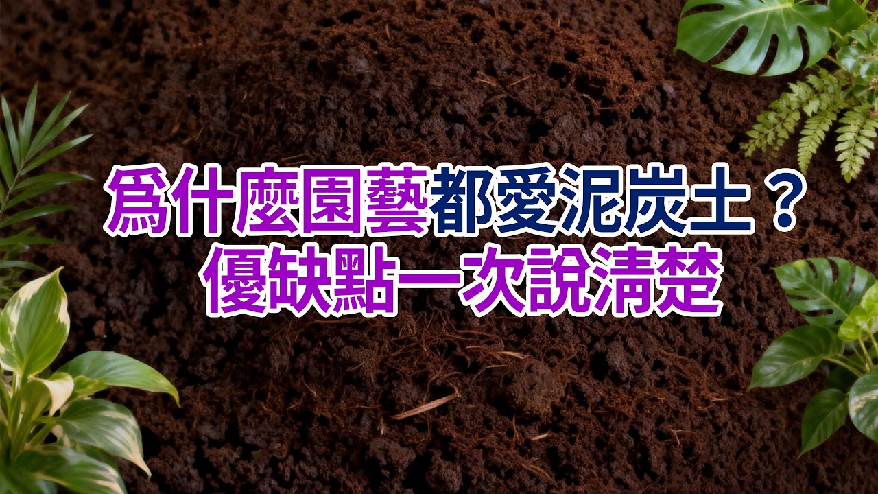 保水又透氣？泥炭土沒告訴你的缺點其實不少