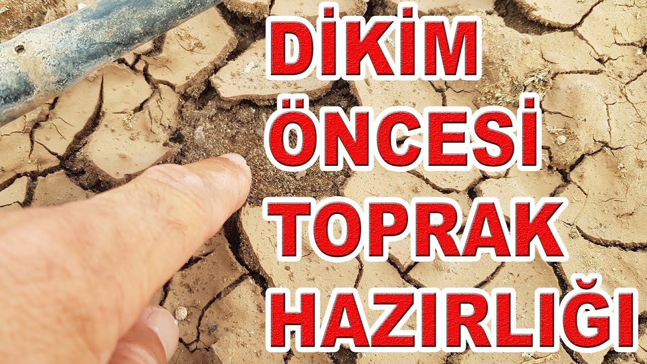 SERADA DİKİMDEN ÖNCE TOPRAK HAZIRLIĞI VE SOLARİZASYON HAKKINDA BAZI BİLGİLER