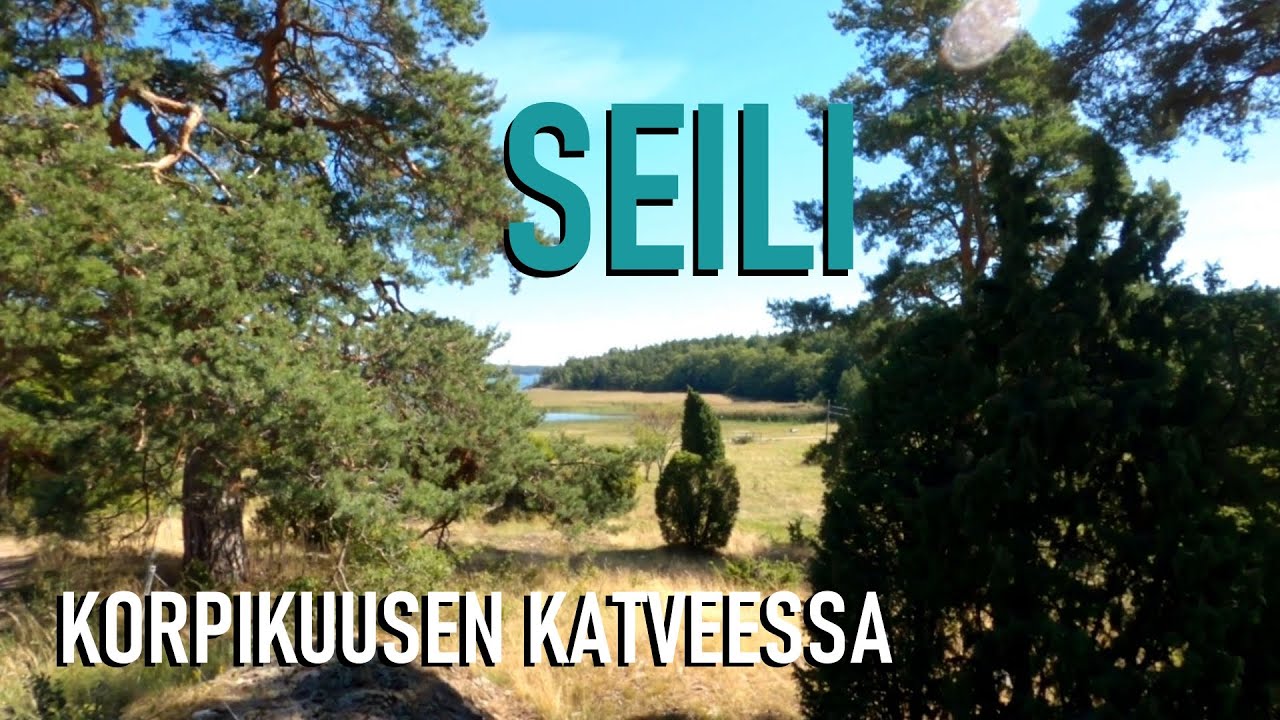 Retkellä Seilin saarella