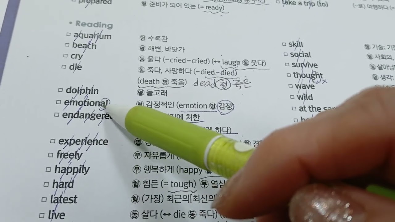 개정 중등 2학년 동아(윤) 영어 1과 백발백중 단어