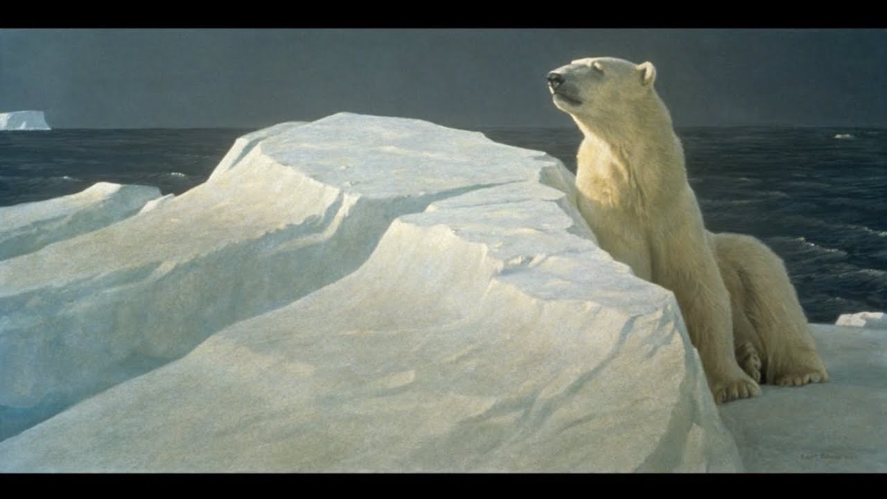 #117 - Long Light Polar Bear by Robert Bateman