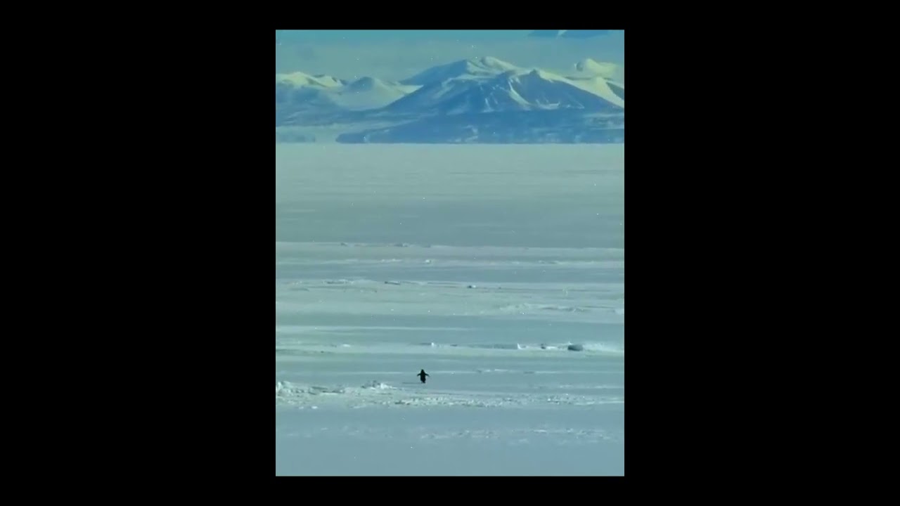 Faustian spirit Penguin aims for the Mountains