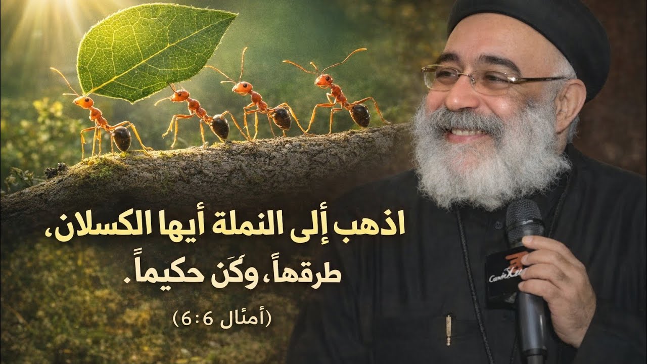 عايزين نتعلم نكون زى النمله#سفر الامثال#عظات ابونا بولس جورج#تأملات