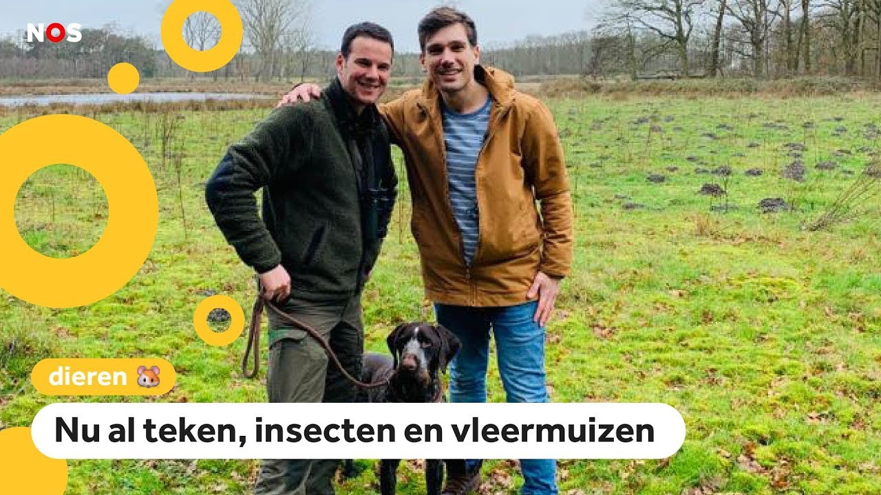 Boswachter Erik: 'dieren zijn in de war door warme winter'