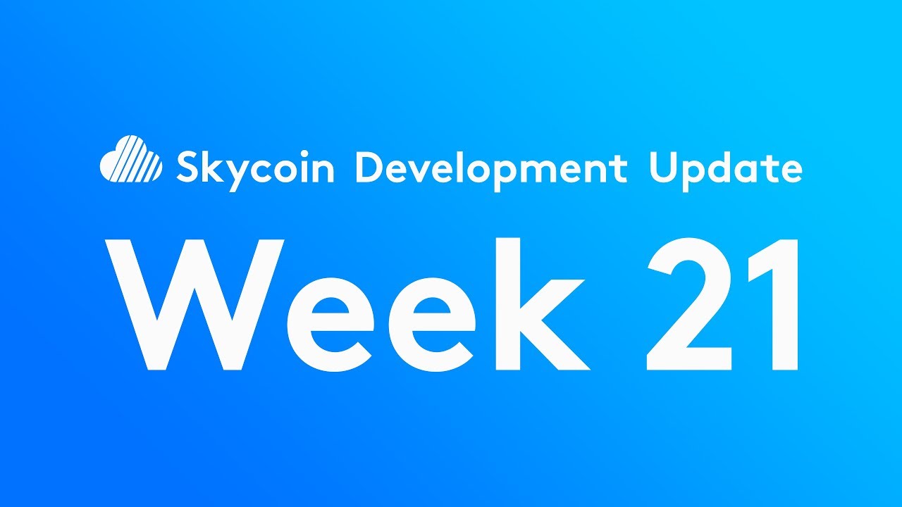 Skycoin Development Update Week 21
