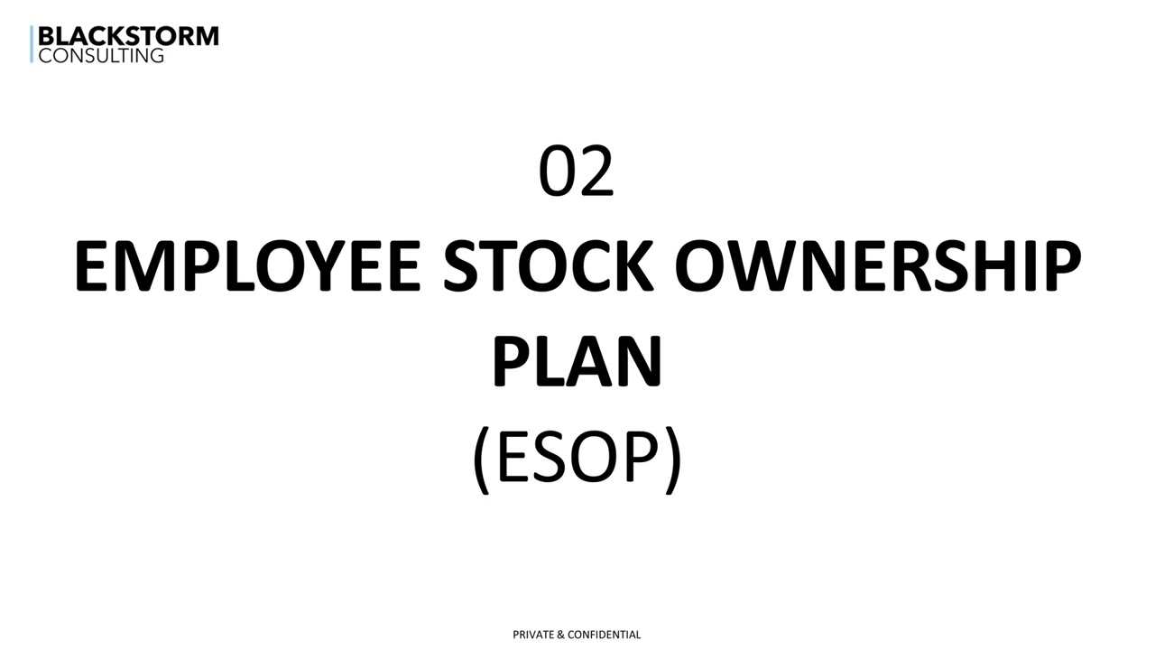 How To Draft a Founders Agreement and Set Up an ESOP