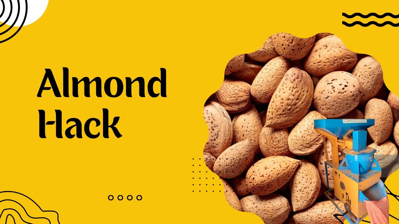 Amazing Almond Cracking Machine! ⚡🌰 | #shorts #shortsvideo #almond  #almondhack