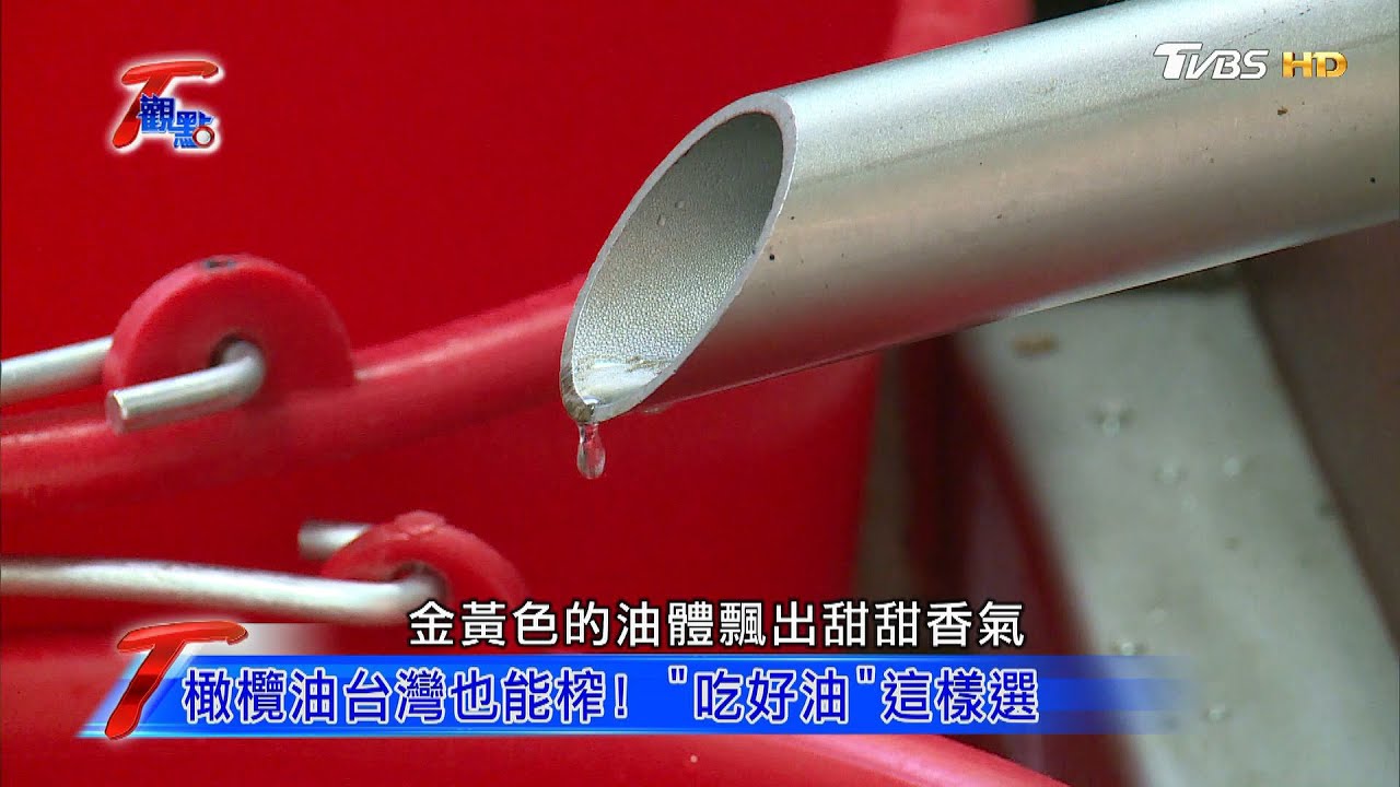 橄欖油台灣也能榨！ 