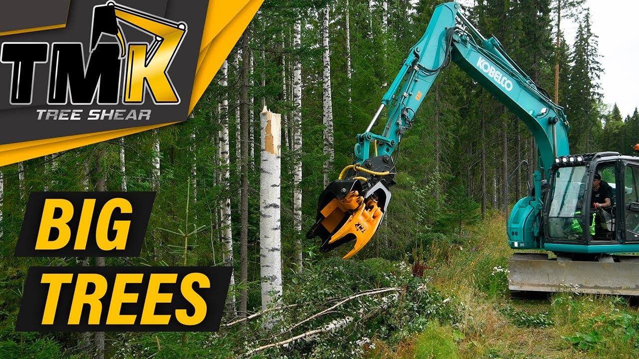 Cutting Big Trees With The TMK 400 // TMK Tree Shear