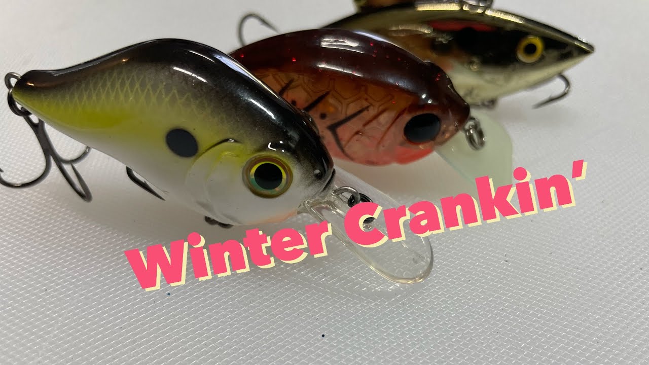 Winter Bass Fishing Hack~Shallow Cranking | Seasonal Patterns | #bassfishing #crankbait #rattletrap