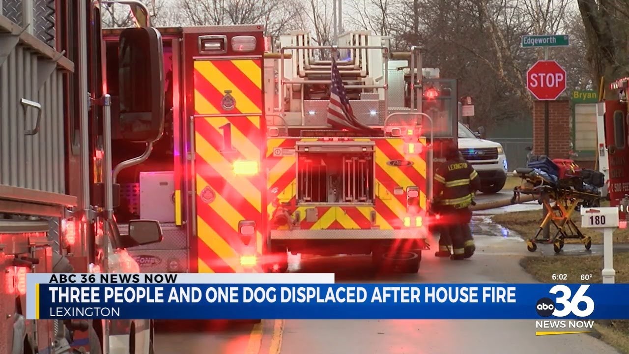 Three people and one dog displaced after house fire