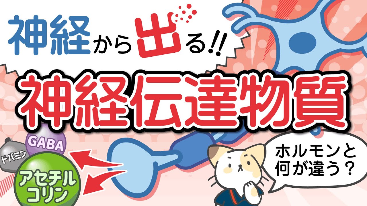 神経伝達物質～重症筋無力症、パーキンソン、ADHD、はたまたサリン、覚せい剤の仕組みがわかる～