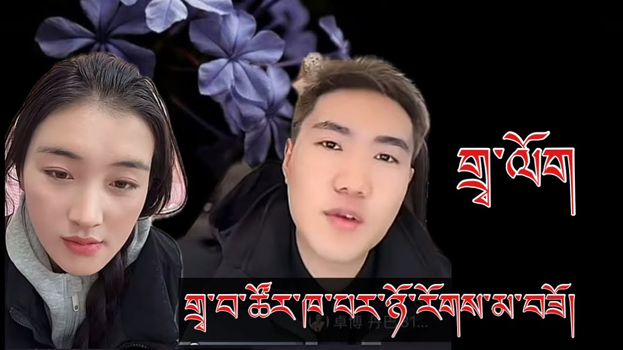 གྲྭ་བ་ཚོ་ལ་ནང་མི་ཚོས་སྒོར་མོ་སྤྲོད་ཡ་ཡོད་མ་རེད།|གྲྭ་ལོག་ཁོས་མྱོང་བ་ཡིན་ཟེར།|#tibetanvlogger #youtube