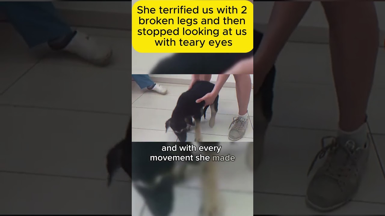 She terrified us with 2 broken legs and th 