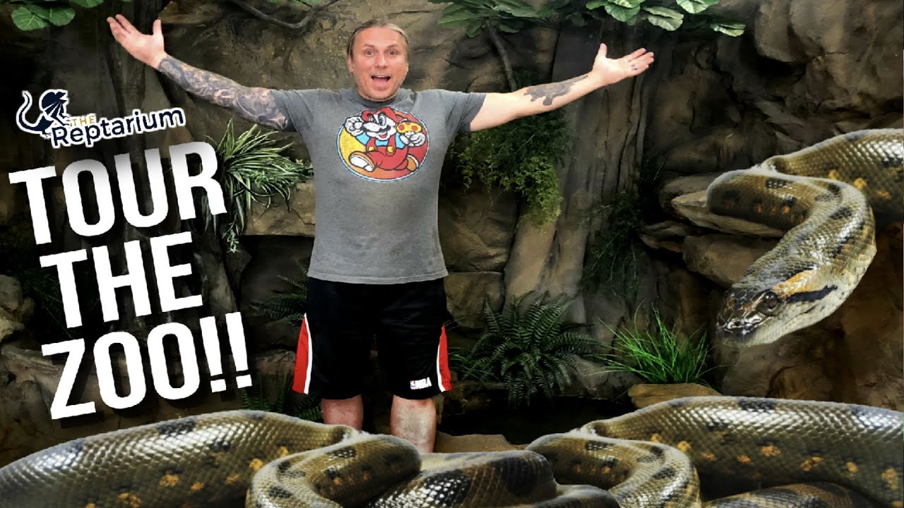 Reptile Zoo Full Tour Cage by Cage! | BRIAN BARCZYK
