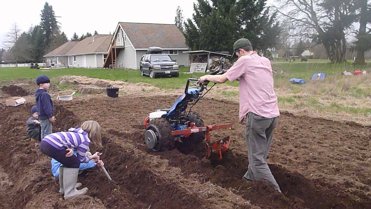 BCS 853 Furrowing for potatoes with toolbar mounted furrower