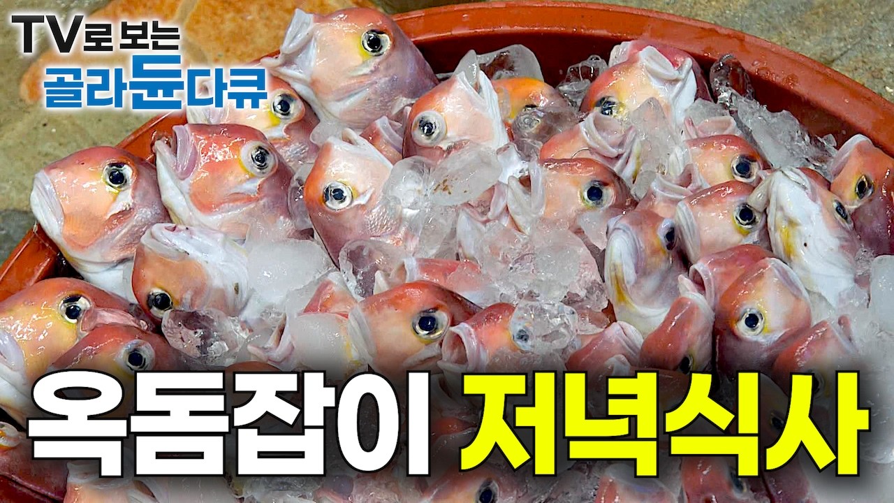 ‘어획량 2%미만’ 한 마리 5만 원 비싼 생선 옥돔을 잡기 위한 바다 위 48시간 전쟁!｜지금 먹어야 맛있다｜봄제철 제주 만선 옥돔 잡이｜선상 먹방｜바닷가 사람들｜#골라듄다큐