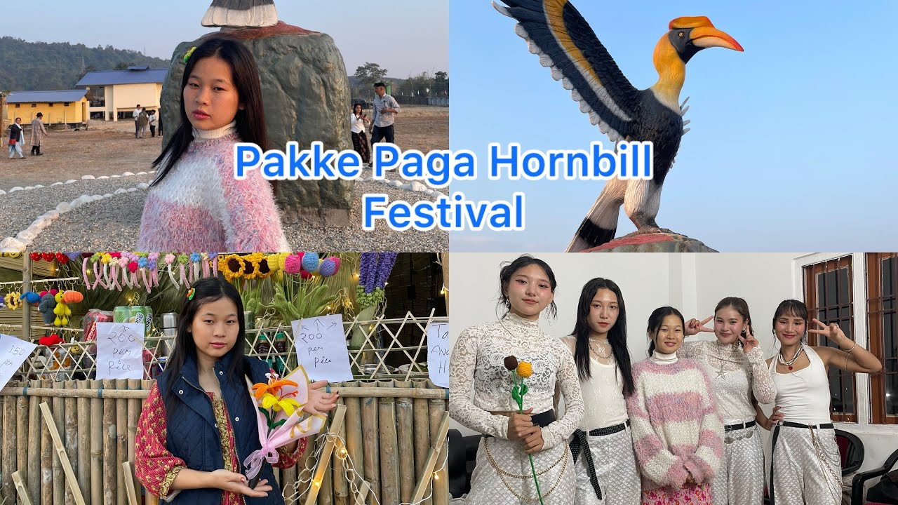 Our Pakke Paga Festival Hornbill experience 🤍 Stall, people & memories| Arunachal Pradesh 