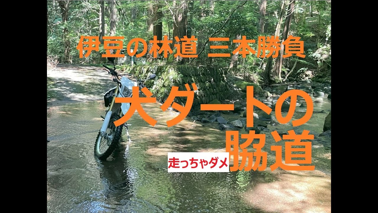【伊豆の林道1本目】初心者オフローダーが行く 伊豆林道三本勝負 犬ダートと脇道【松川湖 奥野林道？】