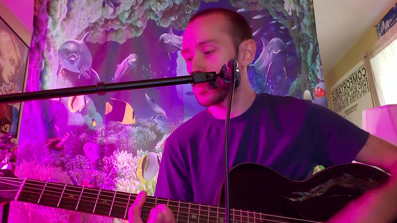 Sascha Frost - "If You Are to Bloom" (Hum cover)