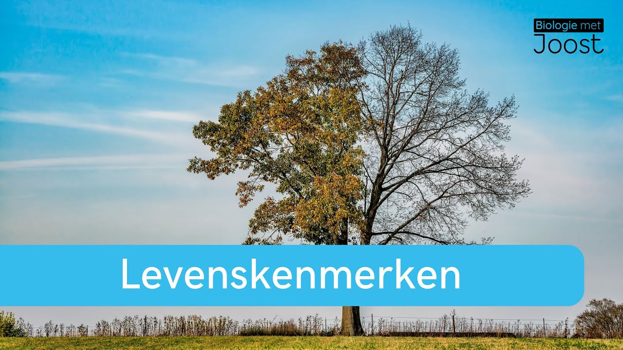 Levenskenmerken | Levend - dood - levenloos | Samenvatting