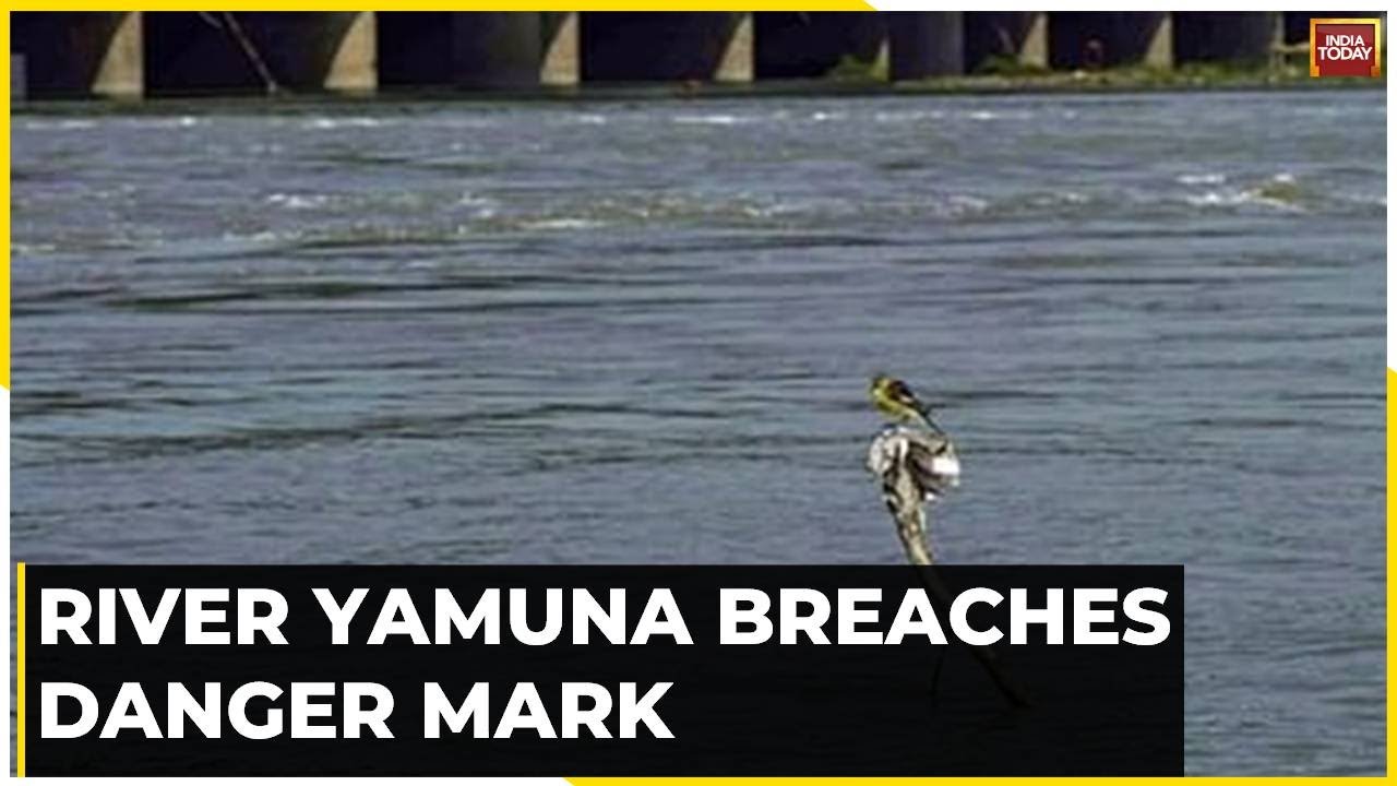 River Yamuna Breaches Danger Mark; Heavy Rain Alert In Himachal, Punjab, Delhi