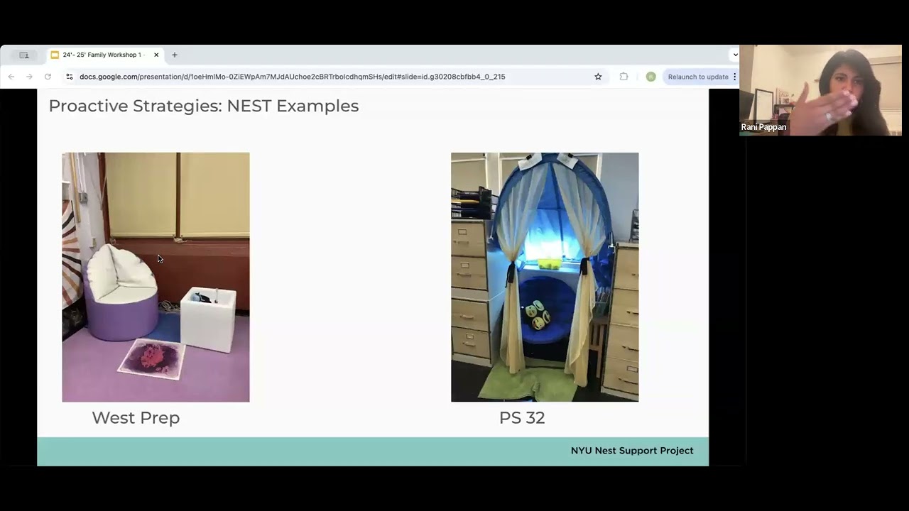 Co-regulation & Proactive Strategies- Nest Support Project Video