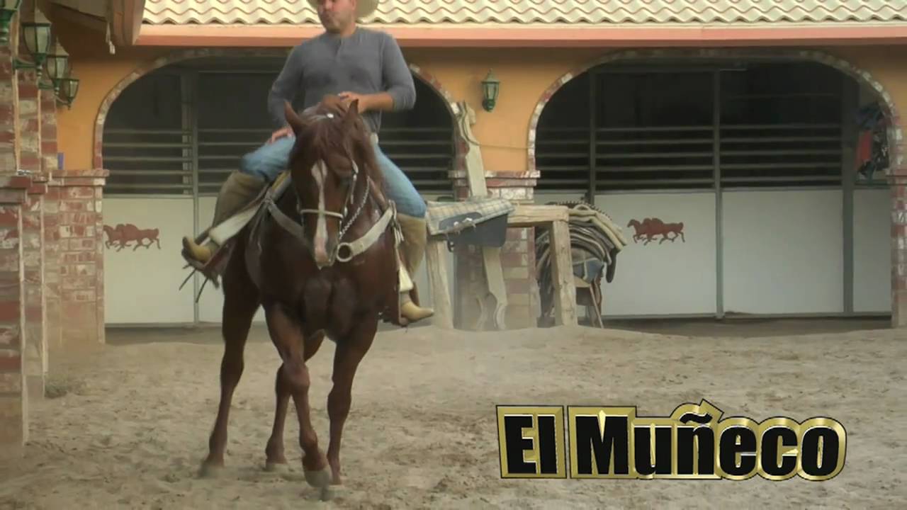 El Profeta - Grupo Laberinto - www.DavidySusCaballos.com - El Muñeco
